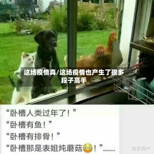 这场疫情真/这场疫情也产生了很多段子高手-第2张图片