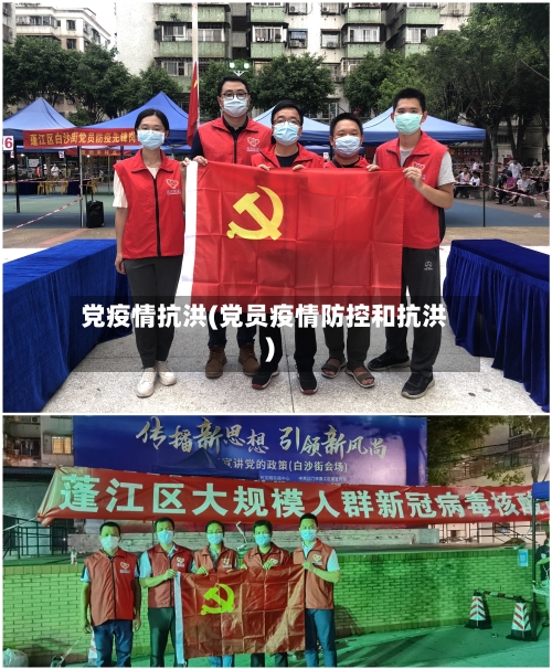 党疫情抗洪(党员疫情防控和抗洪)