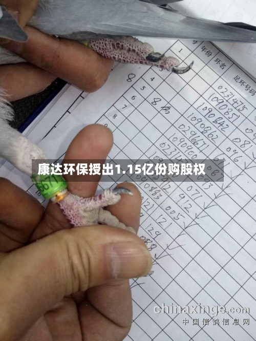 康达环保授出1.15亿份购股权