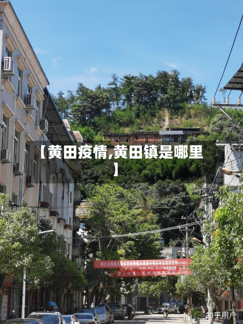 【黄田疫情,黄田镇是哪里】