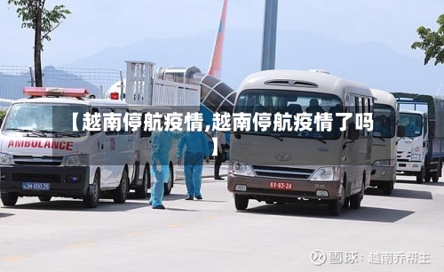 【越南停航疫情,越南停航疫情了吗】-第2张图片