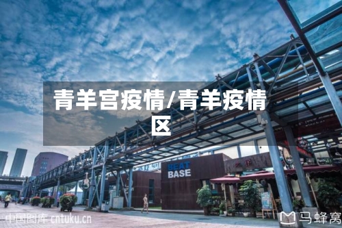青羊宫疫情/青羊疫情区-第2张图片