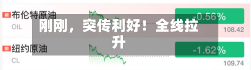 刚刚，突传利好！全线拉升-第2张图片