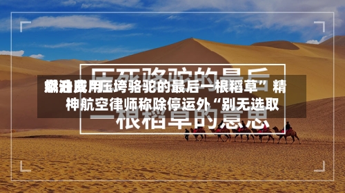 燃油费用飙升成“压垮骆驼的最后一根稻草” 精神航空律师称除停运外“别无选取”-第2张图片