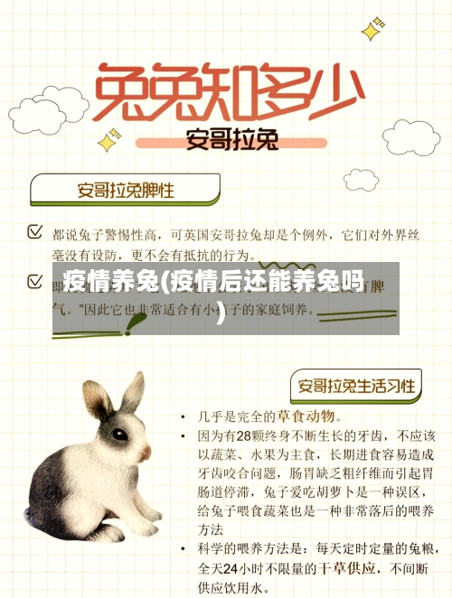 疫情养兔(疫情后还能养兔吗)-第2张图片