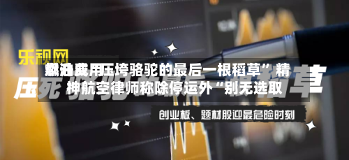 燃油费用飙升成“压垮骆驼的最后一根稻草” 精神航空律师称除停运外“别无选取	”-第2张图片