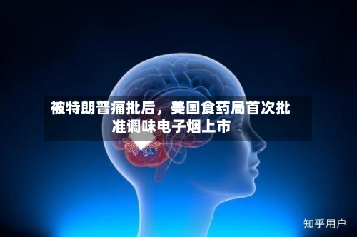 被特朗普痛批后，美国食药局首次批准调味电子烟上市-第2张图片