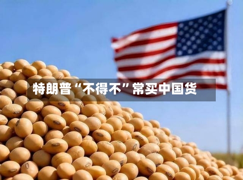 特朗普“不得不”常买中国货-第2张图片