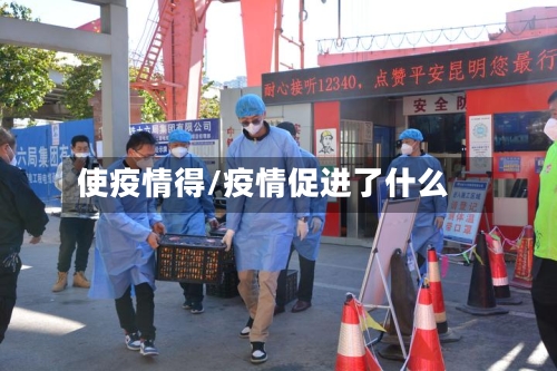使疫情得/疫情促进了什么-第2张图片