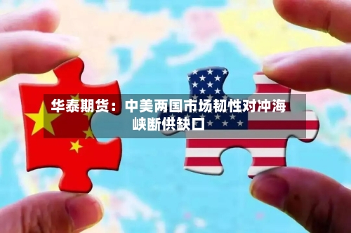 华泰期货：中美两国市场韧性对冲海峡断供缺口-第2张图片