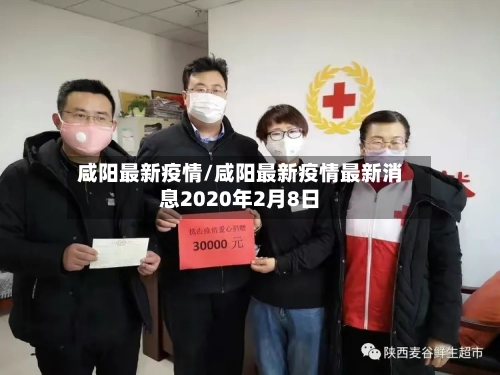 咸阳最新疫情/咸阳最新疫情最新消息2020年2月8日-第2张图片