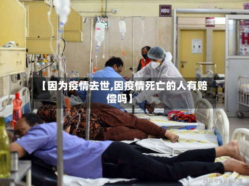 【因为疫情去世,因疫情死亡的人有赔偿吗】